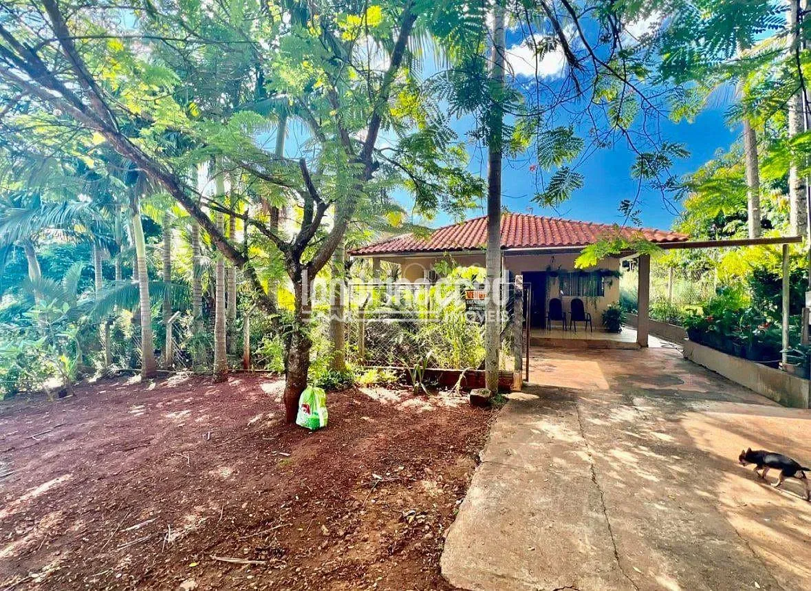 Sítio, 2 quartos, 1575 m² - Foto 1