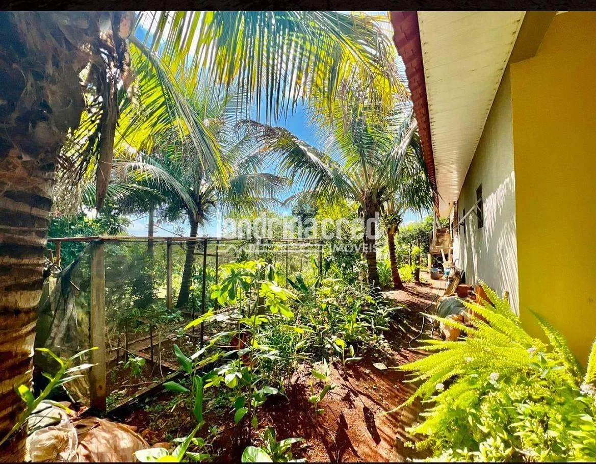 Sítio, 2 quartos, 1575 m² - Foto 8
