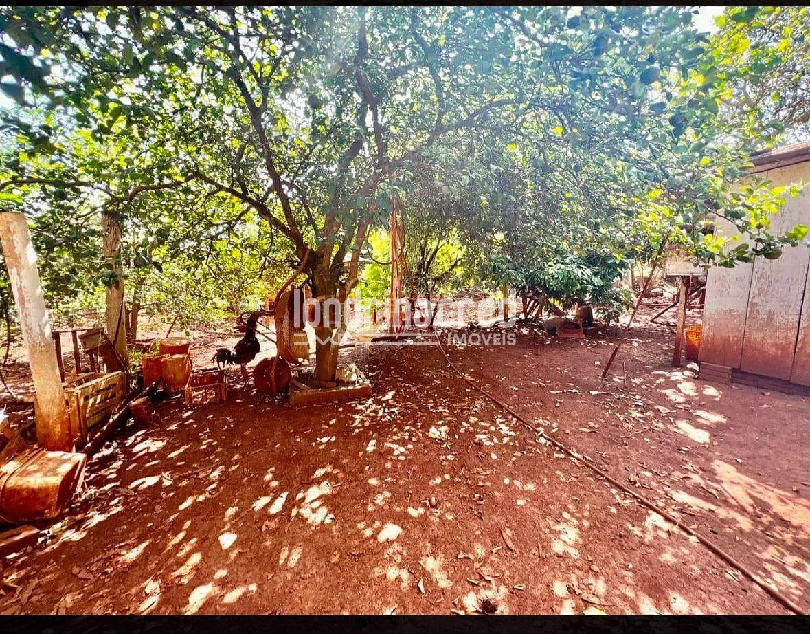 Sítio, 2 quartos, 1575 m² - Foto 13