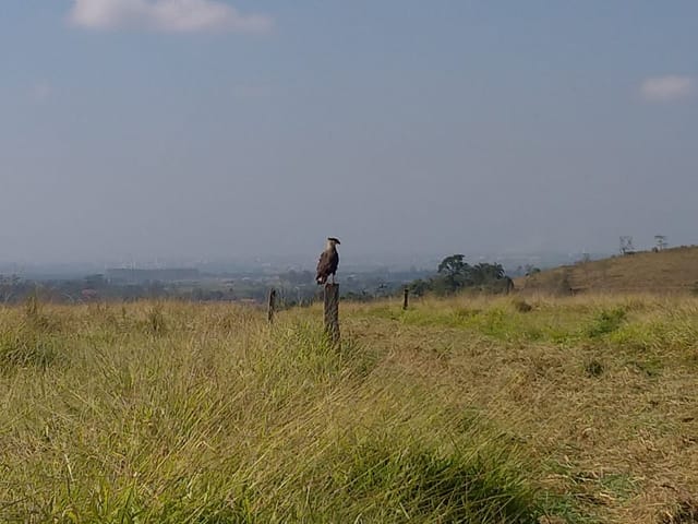 Chácara à venda, no bairro Piracuama em Pindamonhangaba