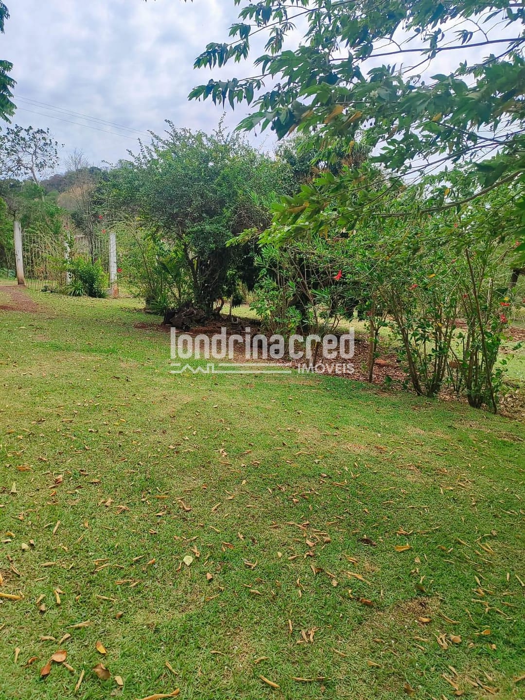 Sítio, 2 quartos, 3654 m² - Foto 1