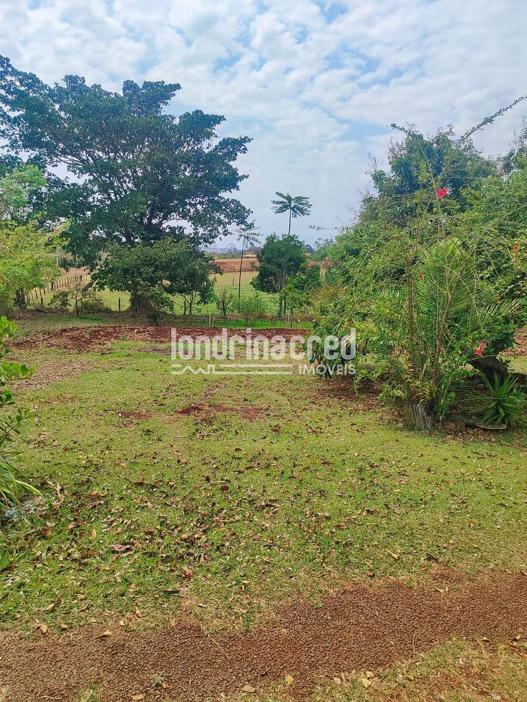 Sítio, 2 quartos, 3654 m² - Foto 2