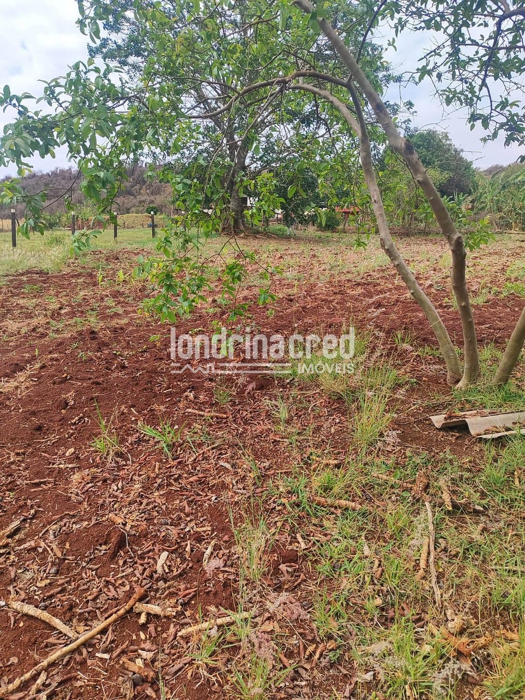 Sítio, 2 quartos, 3654 m² - Foto 3