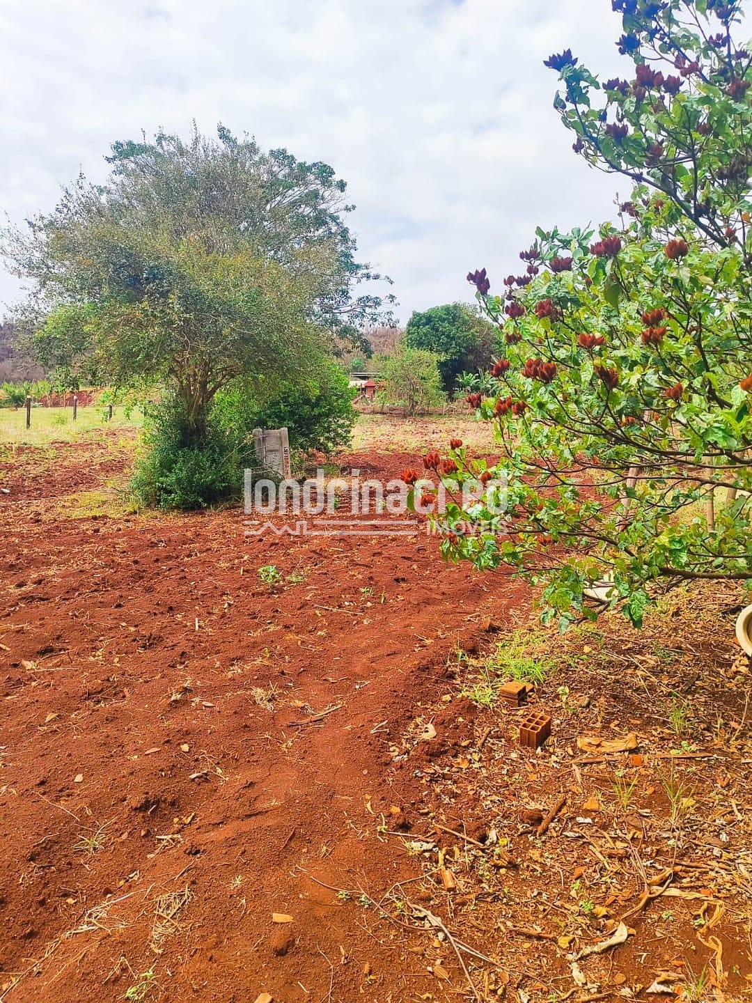 Sítio, 2 quartos, 3654 m² - Foto 4