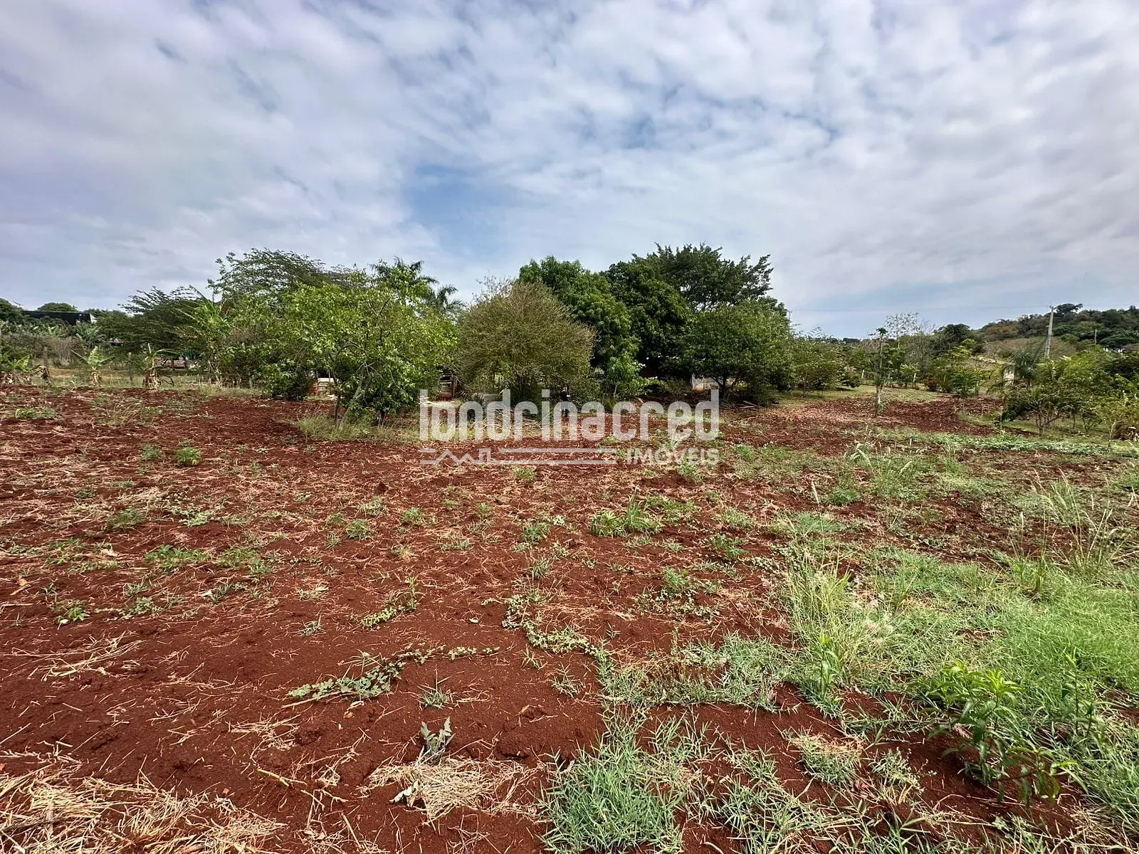 Sítio, 2 quartos, 3654 m² - Foto 11