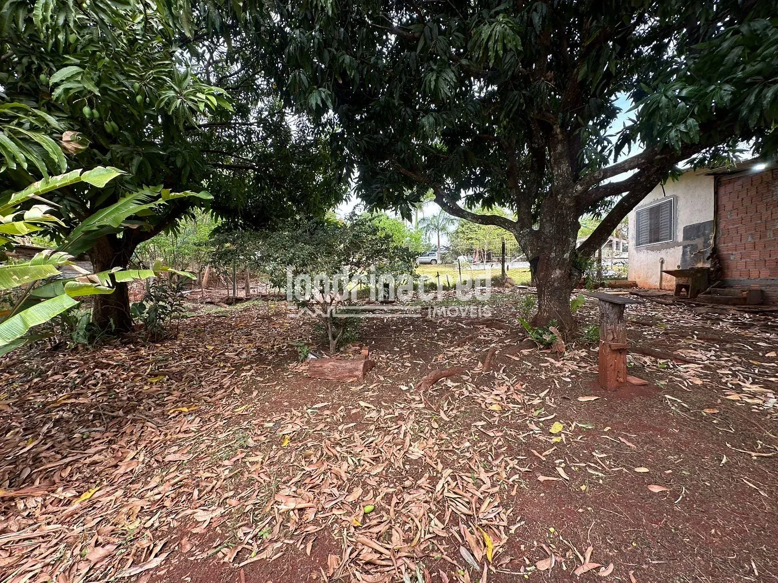 Sítio, 2 quartos, 3654 m² - Foto 14