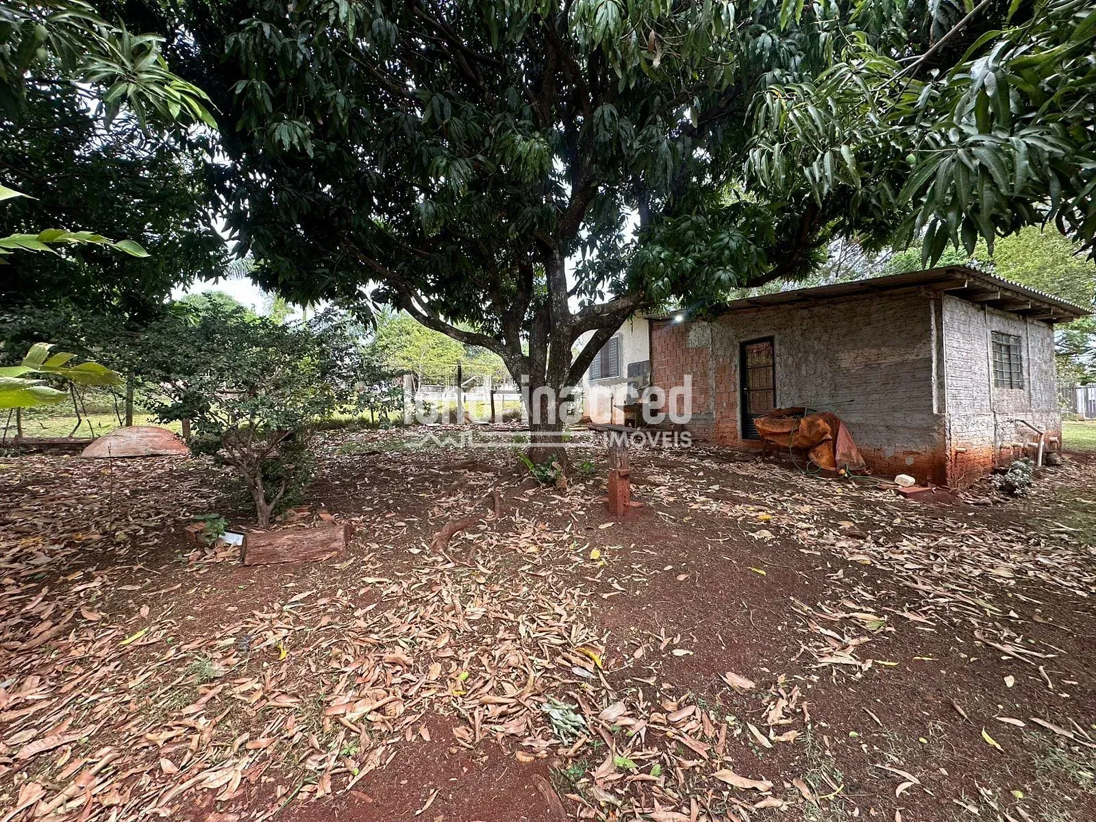 Sítio, 2 quartos, 3654 m² - Foto 16