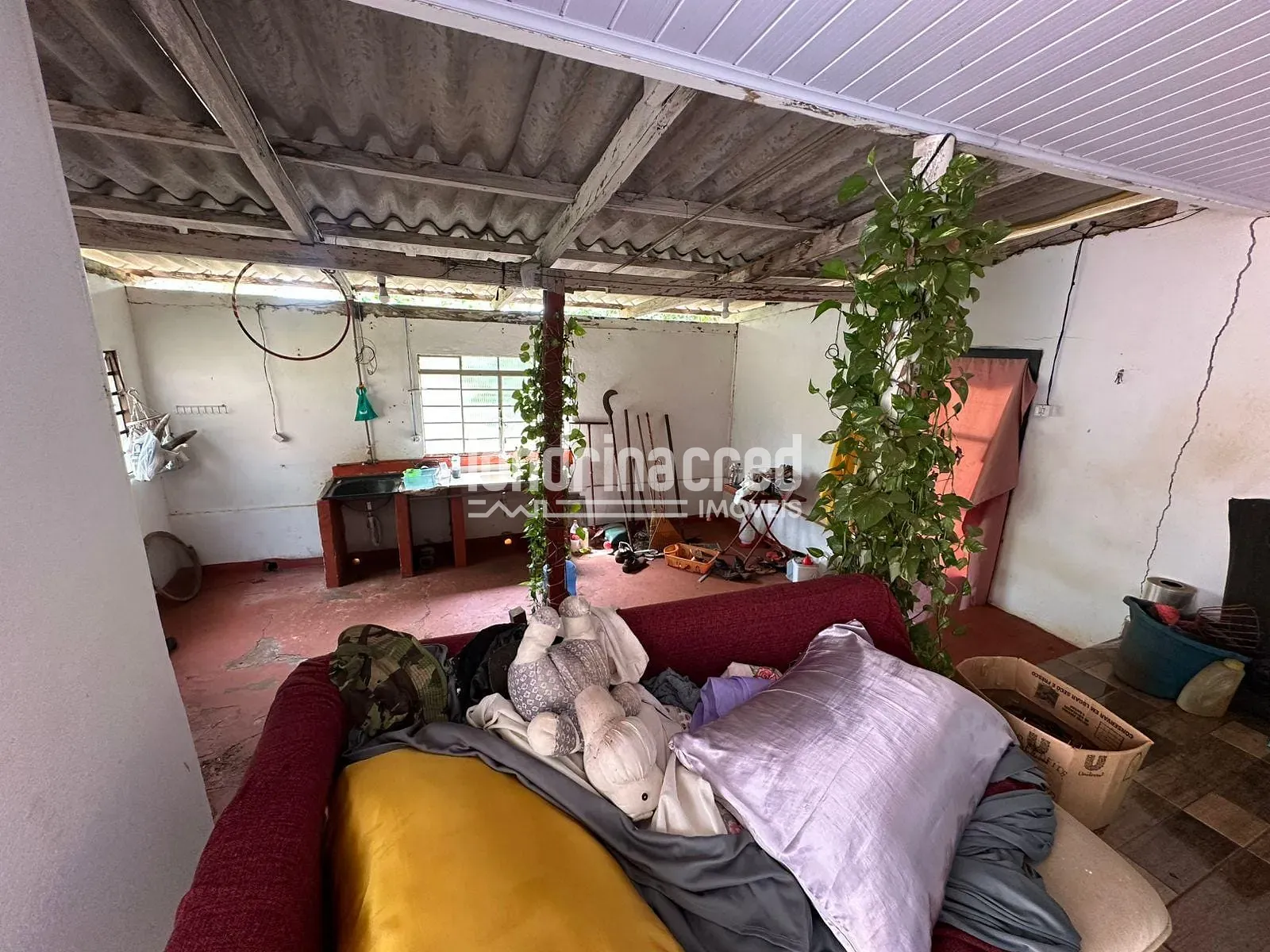 Sítio, 2 quartos, 3654 m² - Foto 34