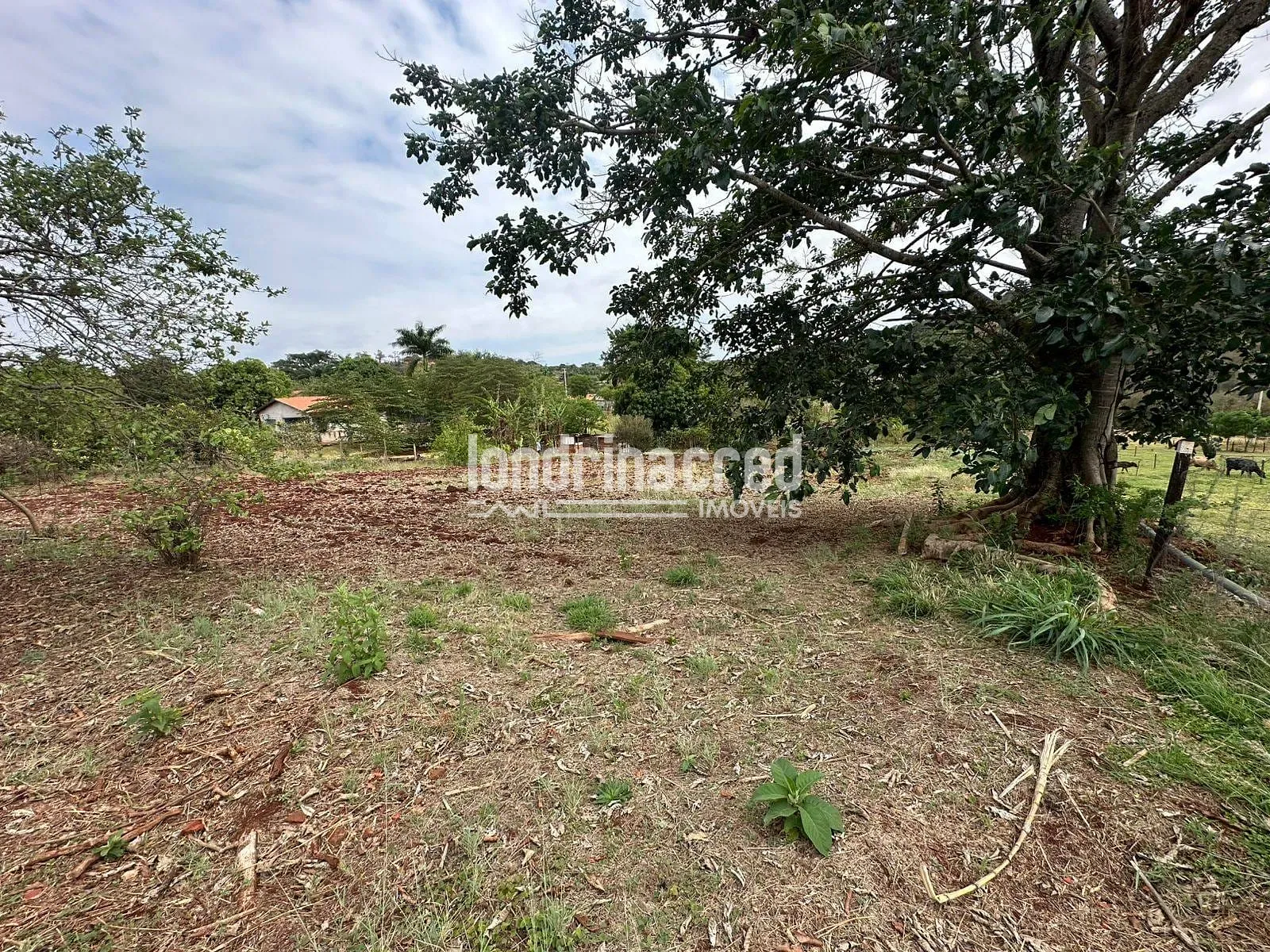 Sítio, 2 quartos, 3654 m² - Foto 36