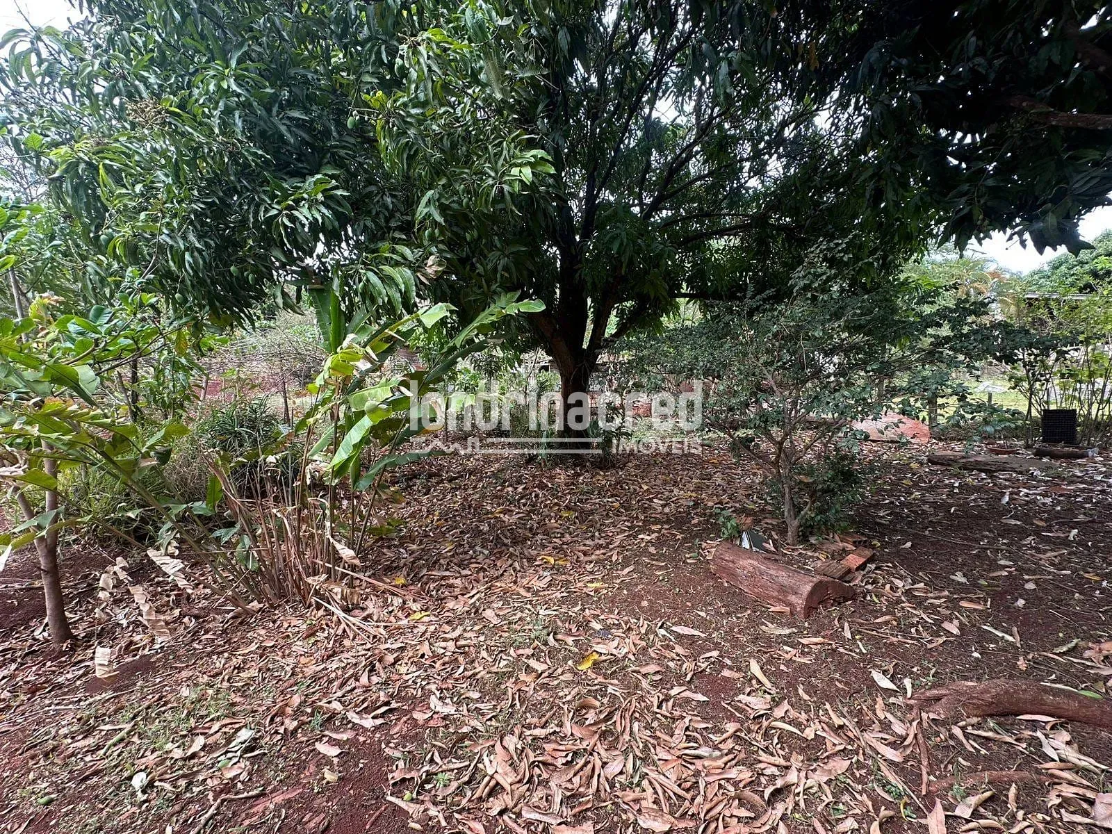 Sítio, 2 quartos, 3654 m² - Foto 37