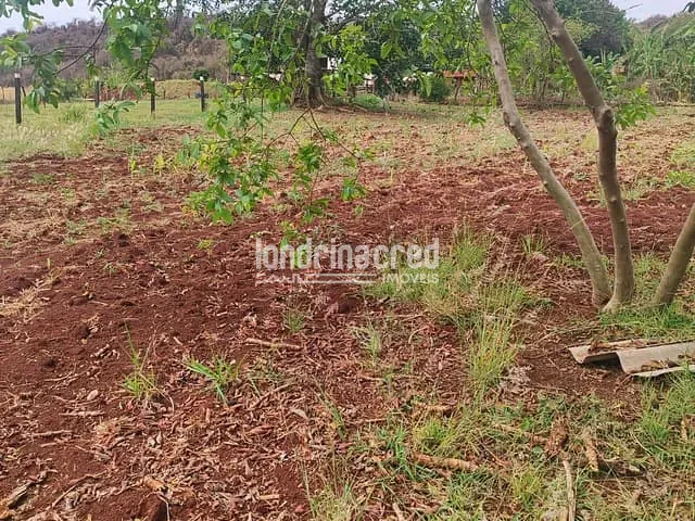 Chácara com 3655m² 2 quartos e 1 banheiro, à venda, no bairro Chácaras Recanto do Engenho em Ibiporã