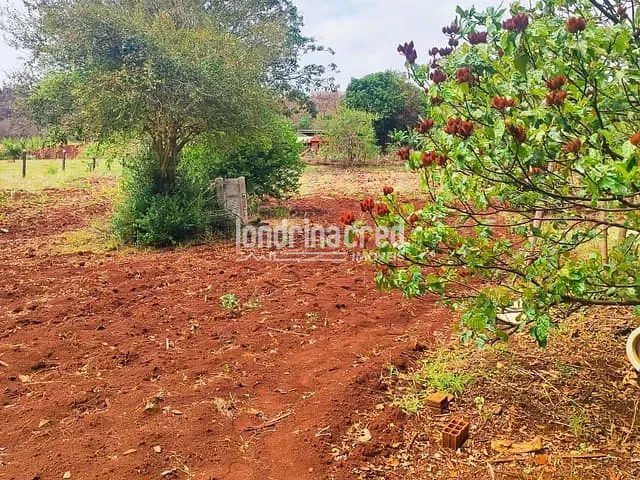 Chácara com 3655m² 2 quartos e 1 banheiro, à venda, no bairro Chácaras Recanto do Engenho em Ibiporã