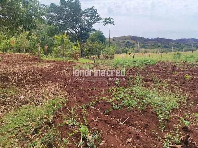 Chácara com 3655m² 2 quartos e 1 banheiro, à venda, no bairro Chácaras Recanto do Engenho em Ibiporã