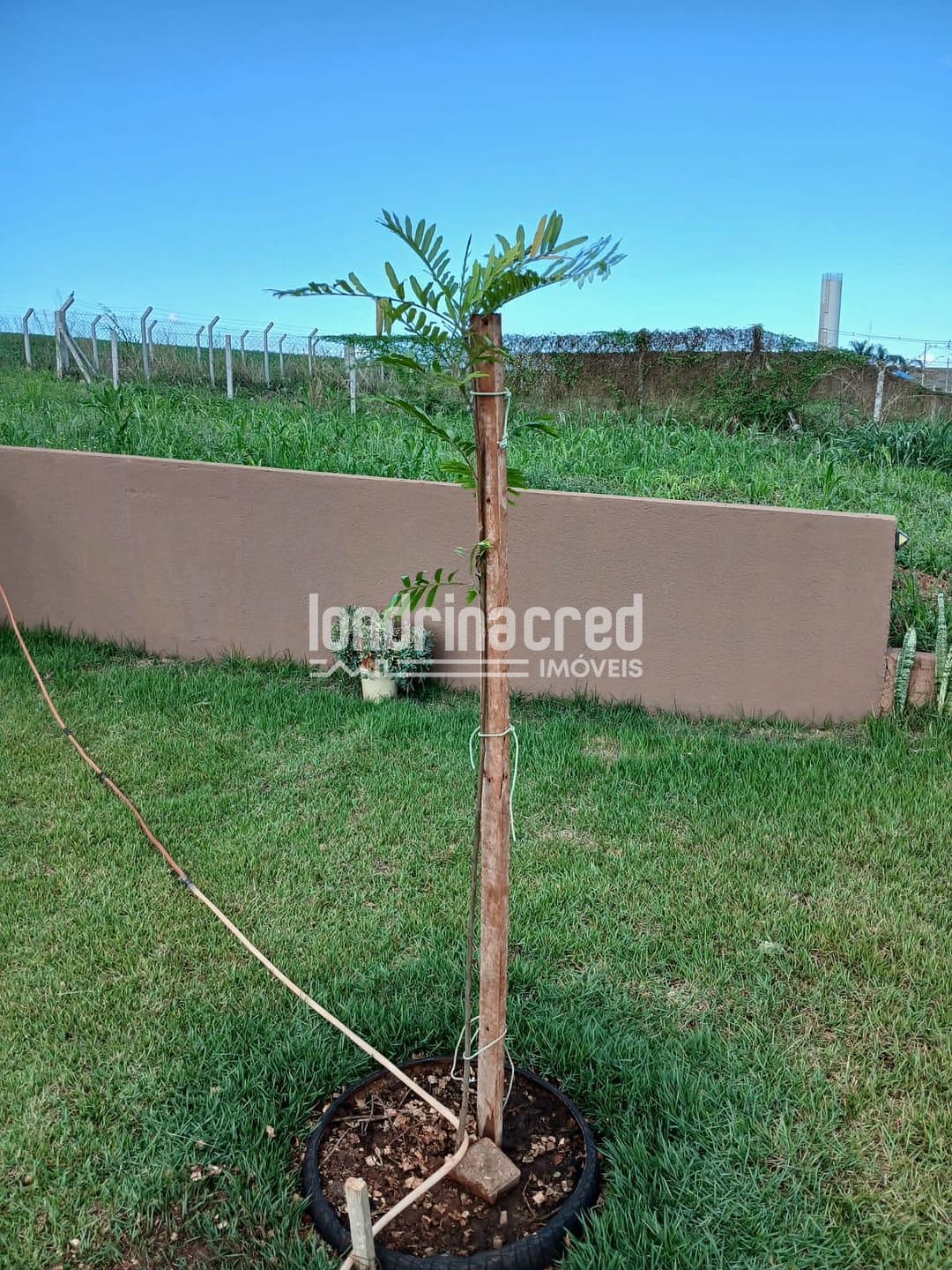 Sítio, 2 quartos, 522 m² - Foto 4