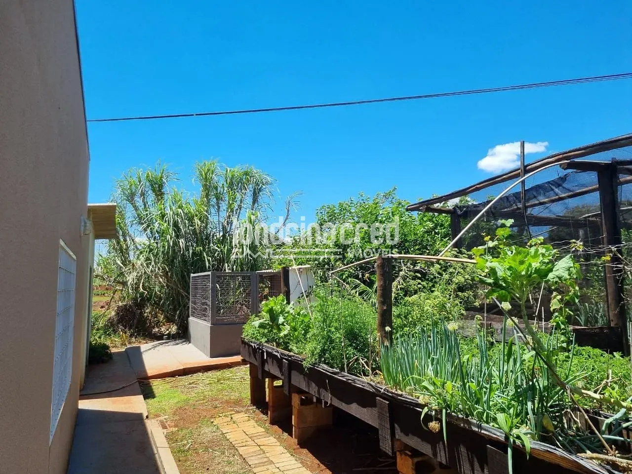 Sítio, 3 quartos, 3040 m² - Foto 9
