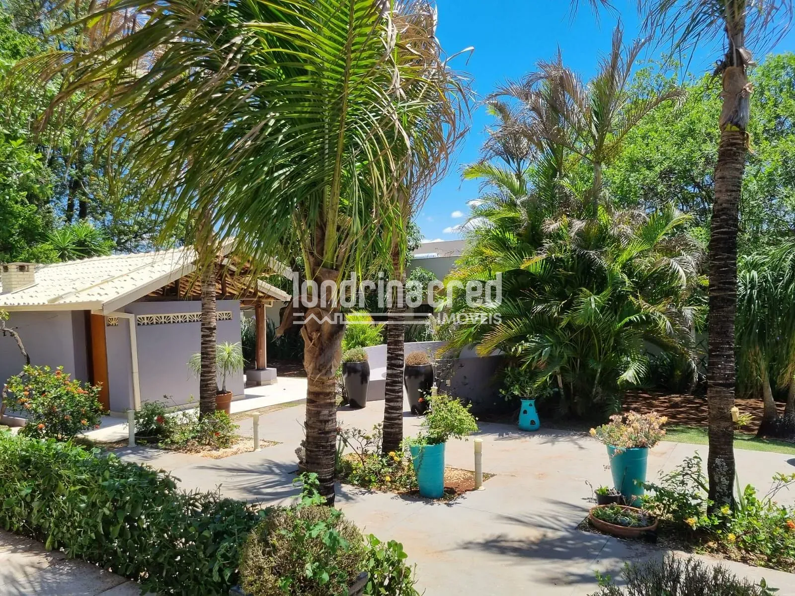 Sítio, 3 quartos, 3040 m² - Foto 12