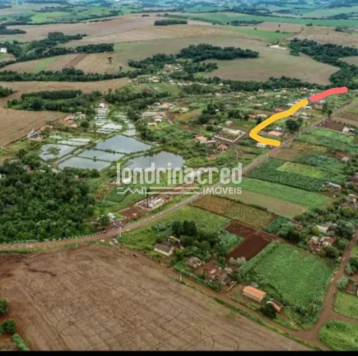 Sítio, 2 quartos, 1000 m² - Foto 4