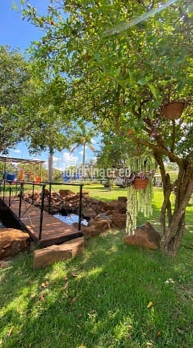 Sítio, 3 quartos, 920 m² - Foto 8