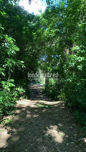 Sítio, 3 quartos, 920 m² - Foto 14