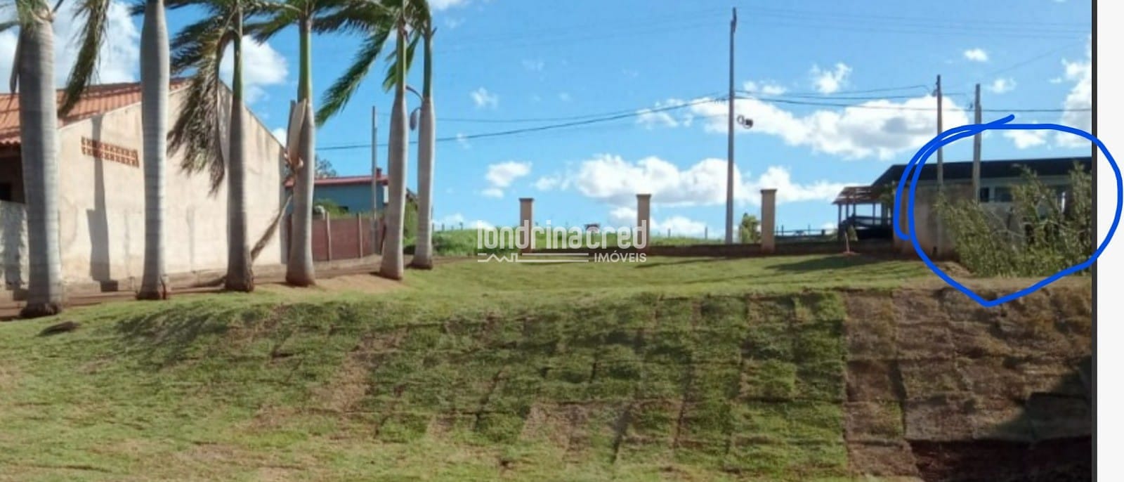 Sítio, 1 quarto, 2300 m² - Foto 5