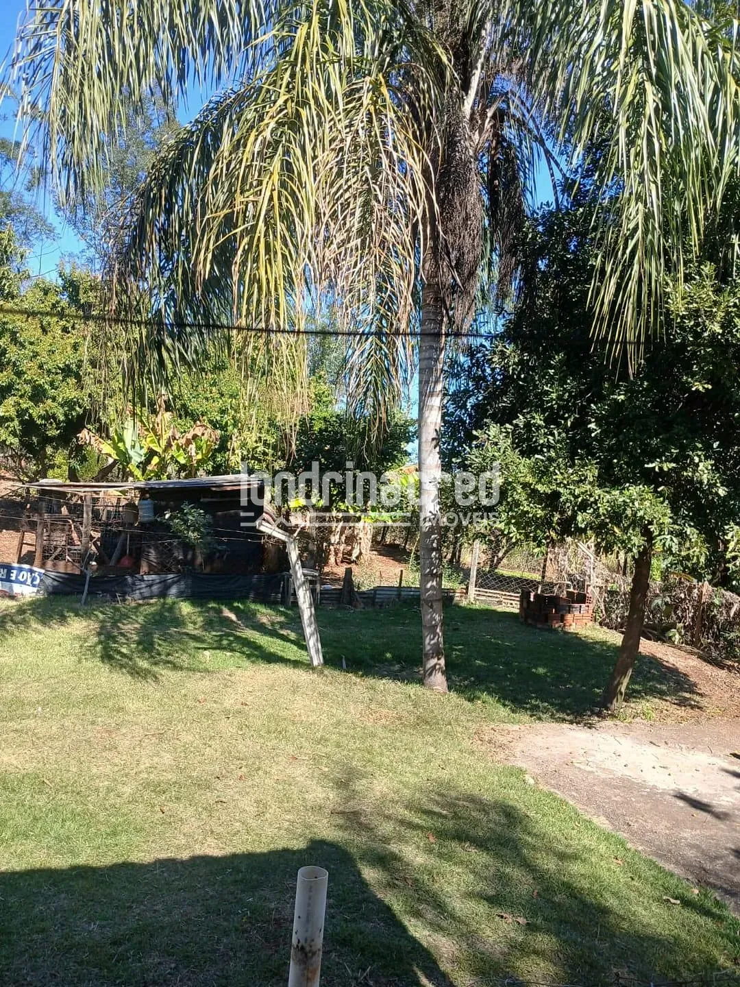 Sítio, 3 quartos, 1600 m² - Foto 7