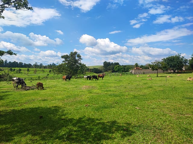 Chácara com 37000m² 2 quartos e 4 banheiros, à venda, no bairro Figueira em Guaratinguetá
