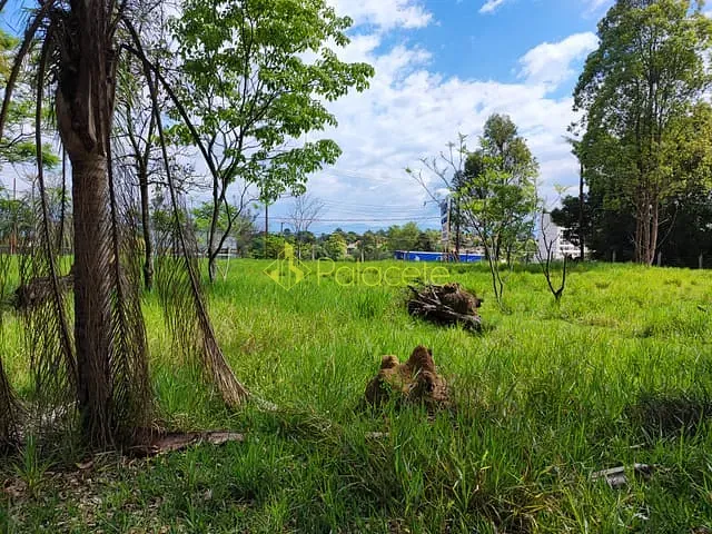 Chácara com 37000m² 2 quartos e 4 banheiros, à venda, no bairro Figueira em Guaratinguetá