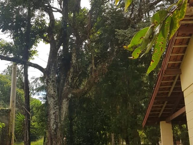 Chácara com 3300m² 2 quartos e 1 banheiro, à venda, no bairro Goiabal em Pindamonhangaba