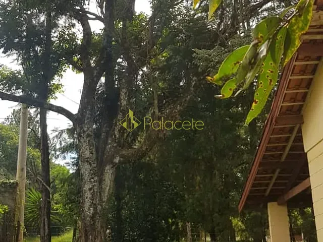 Chácara com 3300m² 2 quartos e 1 banheiro, à venda, no bairro Goiabal em Pindamonhangaba