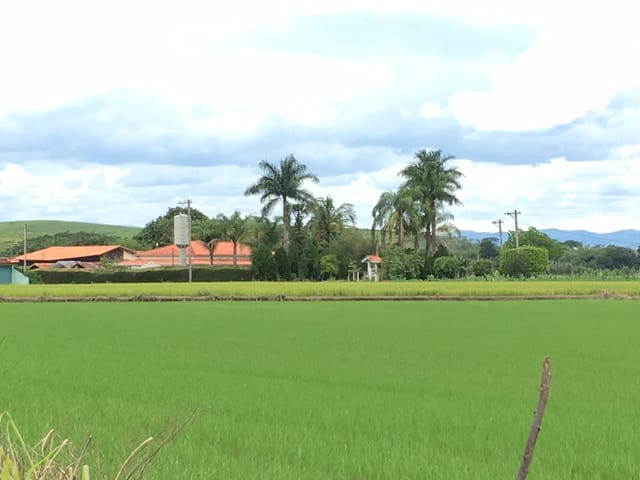 Chácara com 12563m² 3 quartos e 3 banheiros, à venda, no bairro Colônia Piaguí em Guaratinguetá