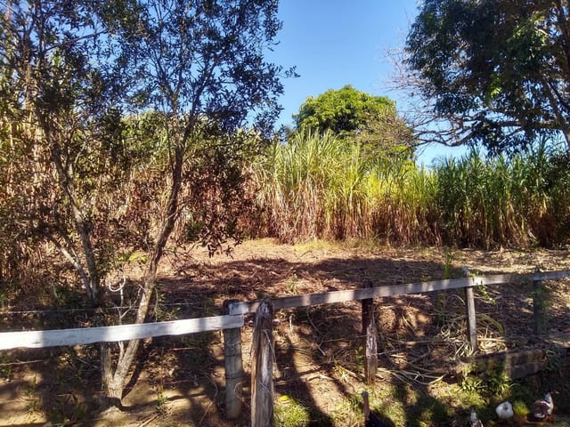 Chácara com 4000m², à venda, no bairro Bosque dos Ipês em Guaratinguetá
