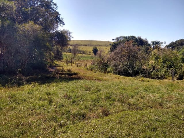 Chácara com 4000m², à venda, no bairro Bosque dos Ipês em Guaratinguetá
