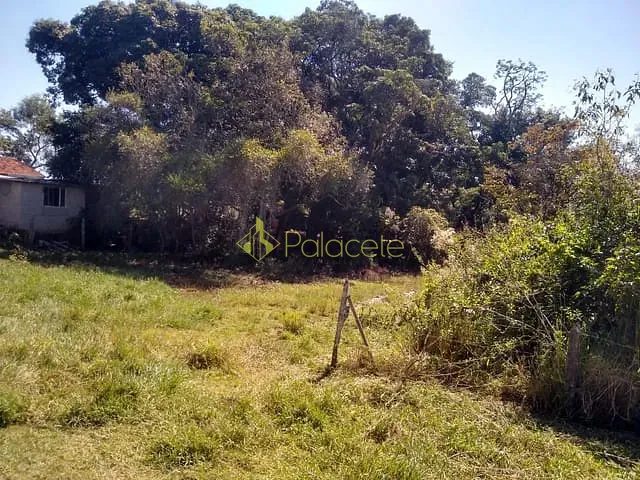 Chácara com 4000m², à venda, no bairro Bosque dos Ipês em Guaratinguetá