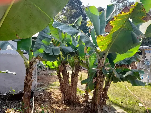 Chácara com 770m² 3 quartos e 4 banheiros, à venda, no bairro Pinhão em Taubaté