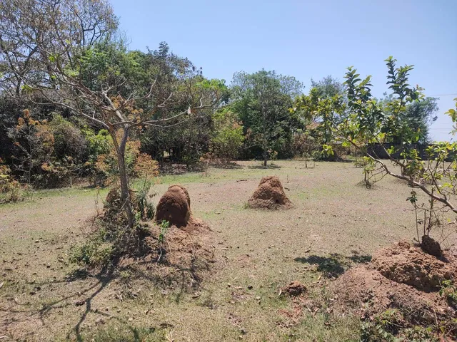 Chácara à venda, no bairro Goiabal em Pindamonhangaba