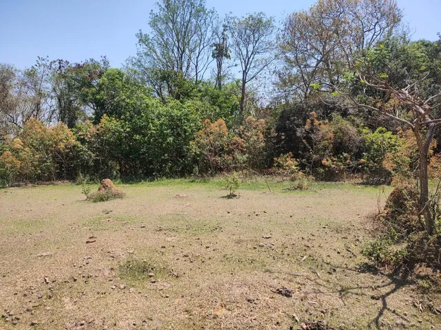 Chácara à venda, no bairro Goiabal em Pindamonhangaba
