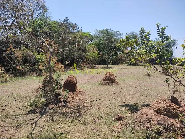 Chácara à venda, no bairro Goiabal em Pindamonhangaba