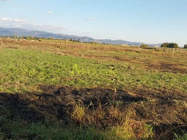 Chácara à venda, no bairro Colméia em Pindamonhangaba