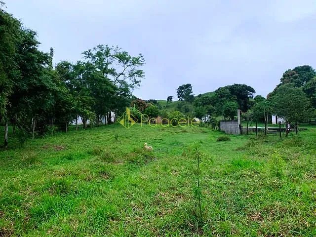 Chácara com 12850m² 1 quarto e 1 banheiro, à venda, no bairro Borba em Pindamonhangaba