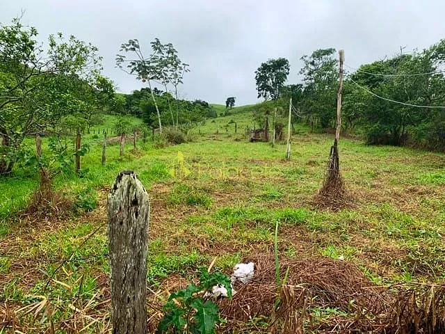 Chácara com 12850m² 1 quarto e 1 banheiro, à venda, no bairro Borba em Pindamonhangaba