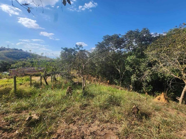 Chácara com 6000m² 1 quarto e 1 banheiro, à venda ou para alugar, no bairro Loteamento João Tamborindeguy Fernandes em Pindamonhangaba