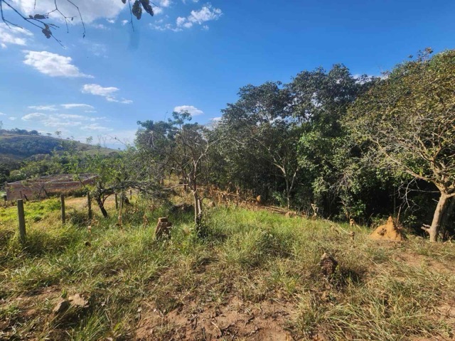 Chácara com 6000m² 1 quarto e 1 banheiro, à venda ou para alugar, no bairro Loteamento João Tamborindeguy Fernandes em Pindamonhangaba