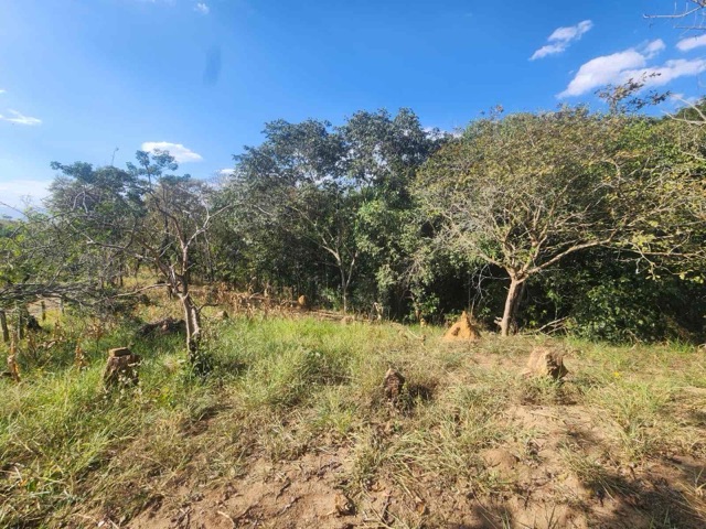 Chácara com 6000m² 1 quarto e 1 banheiro, à venda ou para alugar, no bairro Loteamento João Tamborindeguy Fernandes em Pindamonhangaba