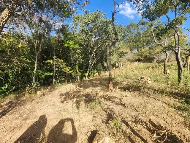Chácara com 6000m² 1 quarto e 1 banheiro, à venda ou para alugar, no bairro Loteamento João Tamborindeguy Fernandes em Pindamonhangaba