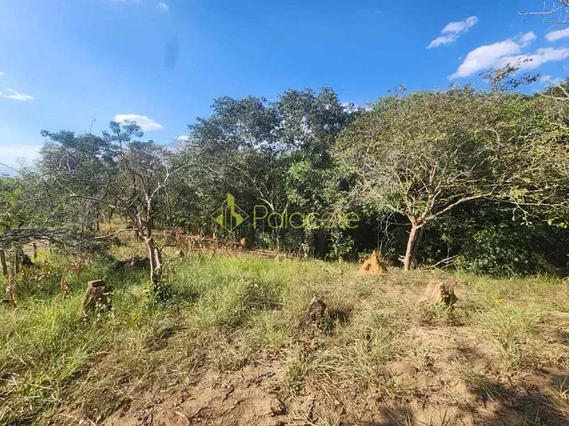 Chácara com 6000m² 1 quarto e 1 banheiro, à venda ou para alugar, no bairro Loteamento João Tamborindeguy Fernandes em Pindamonhangaba