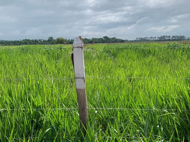 Chácara com 20000m², à venda, no bairro Bom Sucesso em Pindamonhangaba