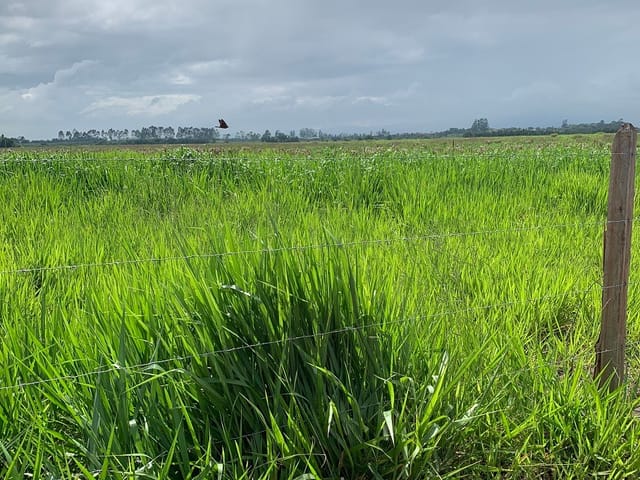 Chácara com 20000m², à venda, no bairro Bom Sucesso em Pindamonhangaba