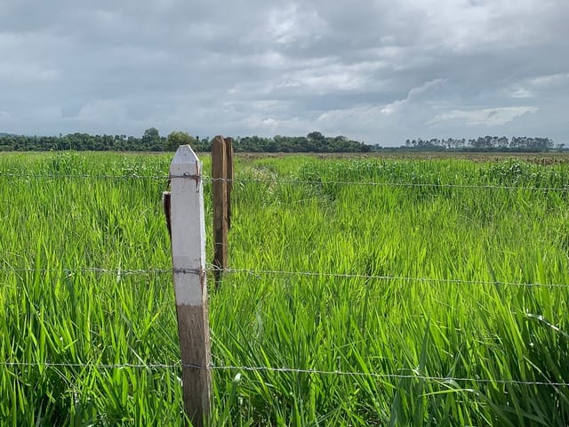 Chácara com 20000m², à venda, no bairro Bom Sucesso em Pindamonhangaba