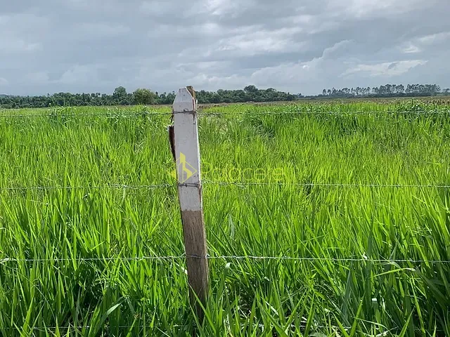 Chácara com 20000m², à venda, no bairro Bom Sucesso em Pindamonhangaba