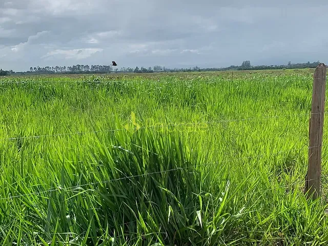 Chácara com 20000m², à venda, no bairro Bom Sucesso em Pindamonhangaba